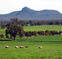 The Rock Nature Reserve - Accommodation Sydney