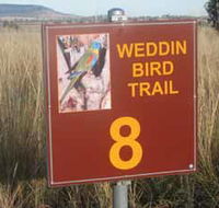 Weddin Bird Trails - Accommodation Sydney