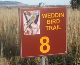 Weddin Bird Trails - Accommodation Sydney 0