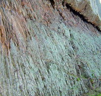 The Rock Nature Reserve - Kengal Aboriginal Place - Accommodation Sydney