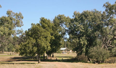 Terry Hie Hie Aboriginal Area - Sydney 4u 0