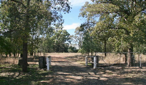 Terry Hie Hie Aboriginal Area - Sydney 4u 2