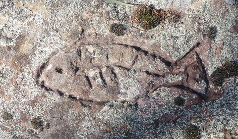 Terry Hie Hie Aboriginal Area - Sydney 4u 3
