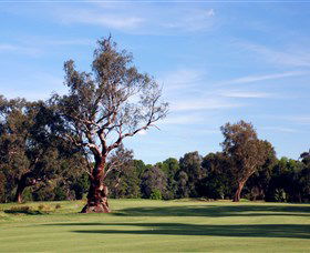 Corowa Golf Club - Accommodation Sydney 5