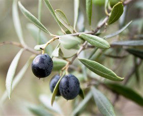 Wollundry Grove Olives - Sydney Resort 2