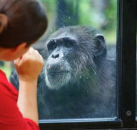 The Rockhampton Zoo - Accommodation Sydney