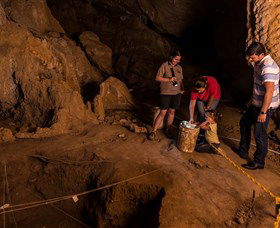Capricorn Caves - Accommodation Sydney 2