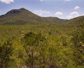 Kutini-Payamu (Iron Range) National Park (CYPAL) - Accommodation Sydney 0