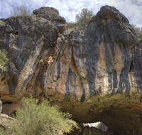 Borenore Karst Conservation Reserve - Accommodation Sydney