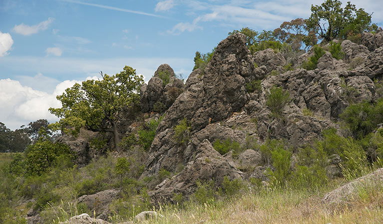 Lidster NSW Accommodation Sydney