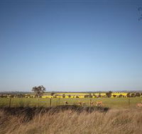 Cootamundra Bird Walk - Sydney 4u
