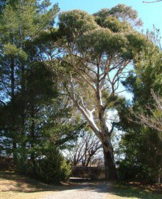 Habitat Vineyard - Accommodation Sydney 1