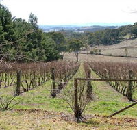 Habitat Vineyard - Accommodation Sydney