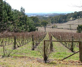 Habitat Vineyard - Accommodation Sydney 0