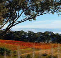 Bloodwood Estate - Accommodation Sydney