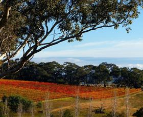 Bloodwood Estate - Sydney 4u 0