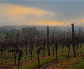 Bloodwood Estate - Sydney 4u 1