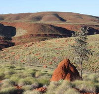 Camel Trail Millstream-Chichester National Park - Accommodation Sydney