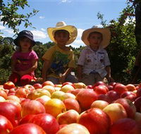 Bonny Glen Fruits - Accommodation Sydney