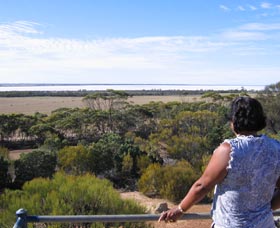 Lake Grace Lookout - Sydney 4u 0