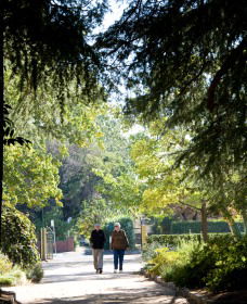 Cook Park Heritage Walk - Accommodation Sydney 0