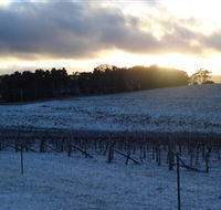 Charles Sturt University Winery - Sydney 4u
