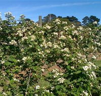 Huntley Berry Farm - Sydney 4u