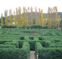 Brookfield Maze - Sydney 4u