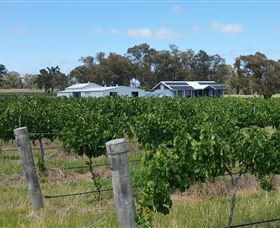 Short Sheep Micro-Winery - Accommodation Sydney 1