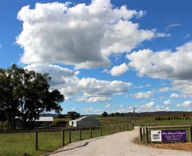 Short Sheep Micro-Winery - Accommodation Sydney 8
