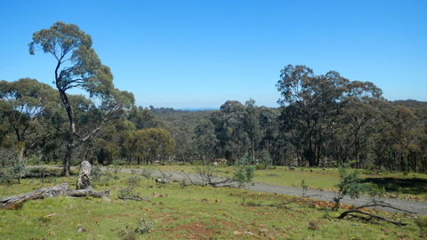 Bald Hill Lookout - Accommodation Sydney 0