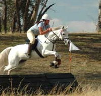 National Equestrian Centre - Kerrabee - Accommodation Sydney