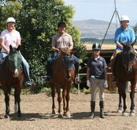 Forest Park Riding and Equitation School - Accommodation Sydney
