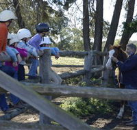 Harlow Park Horse Riding - Accommodation Sydney