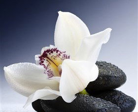 H2O Spa - Accommodation Sydney 1