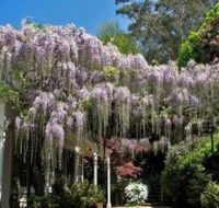Nooroo Gardens - Accommodation Sydney