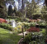 Windyridge Garden Mount Wilson - Accommodation Sydney