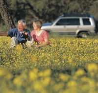 Coalseam Conservation Park - Accommodation Sydney