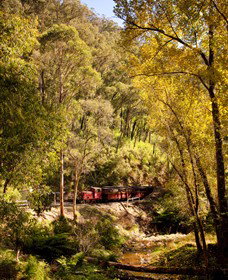 Walhalla Goldfields Railway - Accommodation Sydney 3