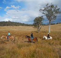 Chapman Valley Horse Riding