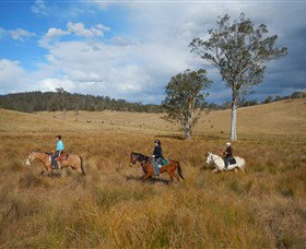 Chapman Valley Horse Riding - Sydney Resort 0