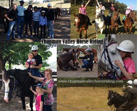 Chapman Valley Horse Riding - Sydney Resort 5