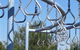 Point Hut Pond Park - thumb 1