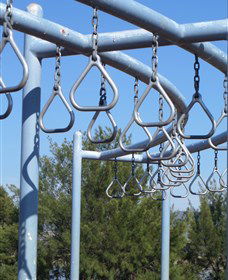 Point Hut Pond Park - Accommodation Sydney 1