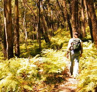 Federal Pass - Accommodation Sydney