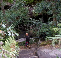 Leura Cascades Fern Bower - Accommodation Sydney