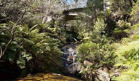 Leura Cascades Fern Bower - Sydney Resort 3