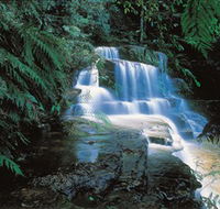 Leura Cascades - Sydney 4u