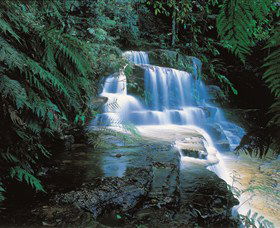 Leura Cascades - Sydney 4u 0