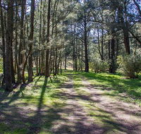 Wombeyan Waterfall walking track - Accommodation Sydney
